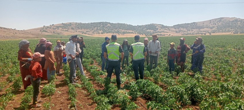 357 mevsimlik tarım işçisine jandarmadan eğitim