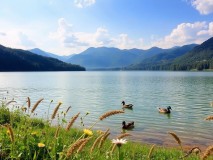 Abant: Doğal Güzelliklerle Dolu Bir Tatil Cenneti