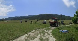 Amasya'da Çekirge Popülasyonunun Artması Üzerine Kertme Köyünde İlaçlama Gerçekleştirildi