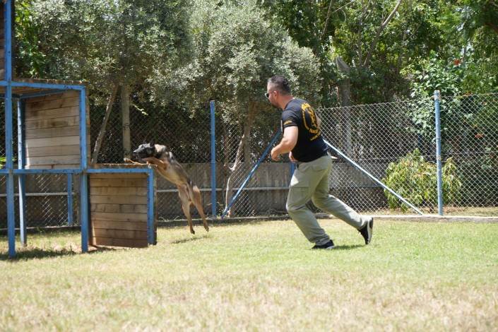 Antalya'da para ve madde kokusuna duyarlı köpekler operasyonların kurtarıcısı