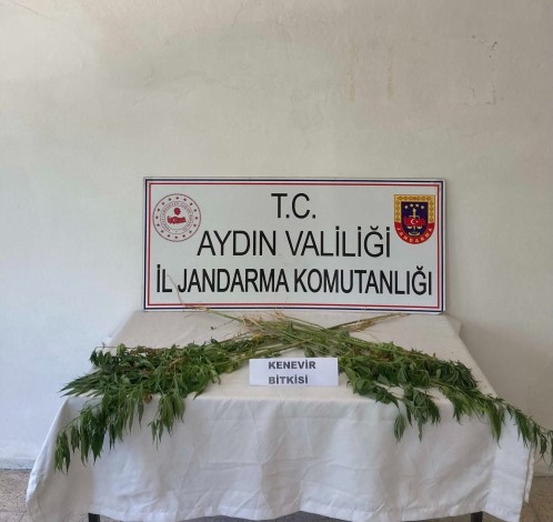 Aydın'da jandarma ekipleri uyuşturucuya geçit vermiyor