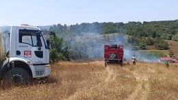 Bilecik'te çıkan ot yangınında 1 kişi hastanelik oldu