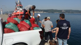 Çanakkale'de 3 ton kum şırlanı ele geçirildi