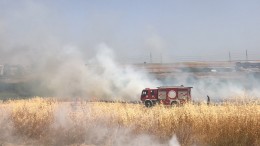 Çorlu'da bin 300 dönüm anız alev alev yandı