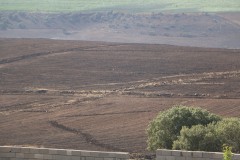 Diyarbakır'da 3 kişinin öldüğü, 11 kişinin yaralandığı örtü yangınının boyutu gün ağarınca ortaya çıktı