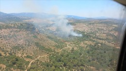 İzmir'de ormanlık alanda yangın