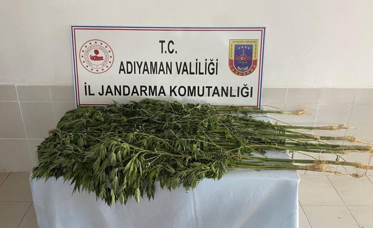 Jandarma ekipleri uyuşturucuya geçit vermiyor