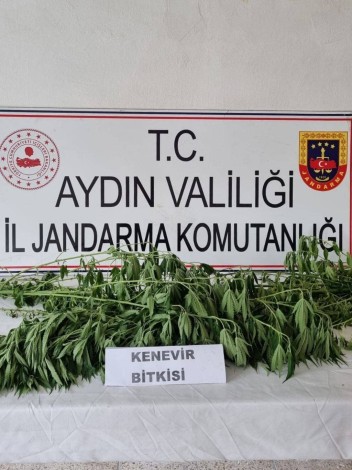 Jandarma uyuşturucuya geçit vermiyor: 5 gözaltı