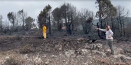 Kepsut'ta çıkan yangının ilerlemesi durdu, soğutma çalışmaları başlıyor