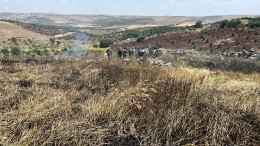 Kilis'te çıkan yangında 15 dönüm alanda ekili buğday kül oldu