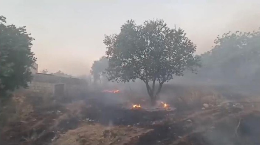 Mardin'de ormanlık alanda çıkan yangın söndürüldü