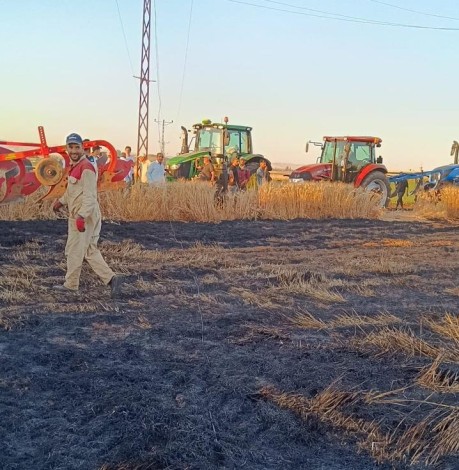 Mardin'deki yangınlarda bin 700 dönümün üzerinde buğday tarlası küle döndü