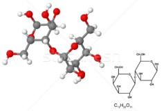 Okulda Karın Ağrısı, Evde Huzursuzluk: Çocuklarda 