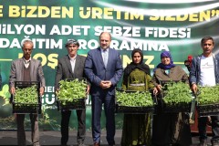 Şanlıurfa'da Tarımsal Destek: 2 Milyon Fide Çiftçilere Ücretsiz Dağıtıldı