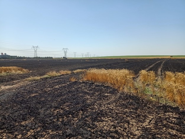 Tekirdağ’da 180 dönüm buğday cayır cayır yandı: 3 yaralı