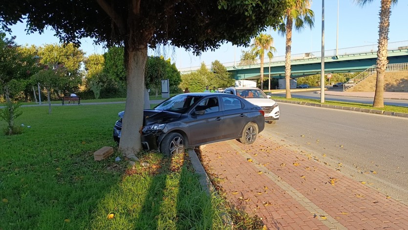 Virajı alamayan otomobil ağaca çarptı